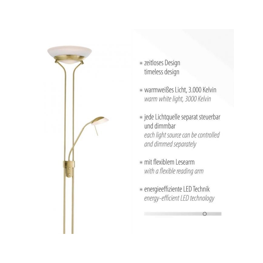 Leuchten Direkt 11730-60 - LED Zatemnitvena talna svetilka ZAHARA LED/16W/230V + LED/5W