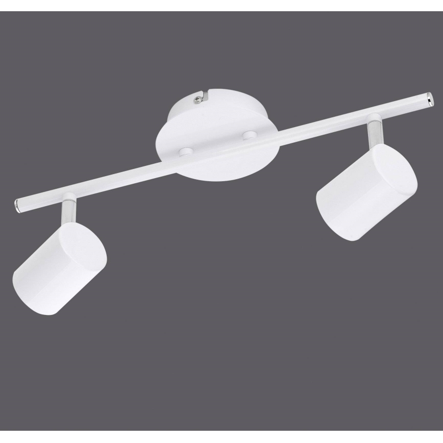 Leuchten Direkt 11942-16 - LED Reflektor TARIK 2xGU10/5W/230V bel