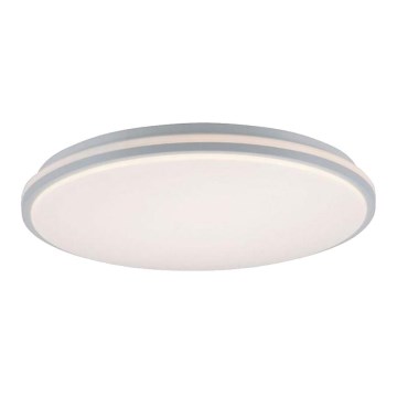 Leuchten Direkt 14208-16 - LED Zatemnitvena stropna svetilka COLIN LED/18W/230V