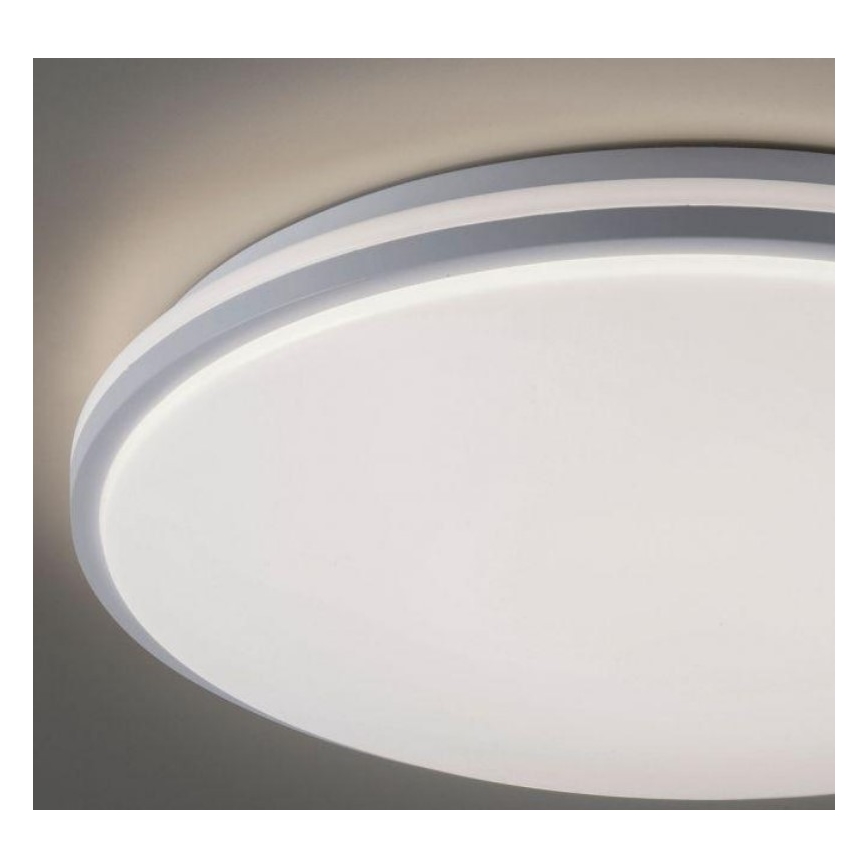 Leuchten Direkt 14208-16 - LED Zatemnitvena stropna svetilka COLIN LED/18W/230V