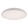 Leuchten Direkt 14209-16 - LED Zatemnitvena stropna svetilka COLIN LED/32,4W/230V