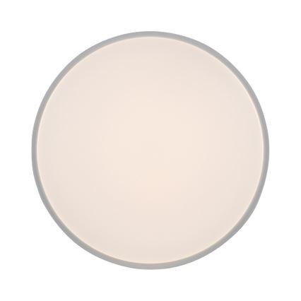 Leuchten Direkt 14209-16 - LED Zatemnitvena stropna svetilka COLIN LED/32,4W/230V