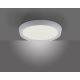 Leuchten Direkt 14217-16 - LED Zatemnitvena stropna svetilka LORENA 1xLED/35W/230V siva + Daljinski upravljalnik