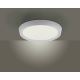 Leuchten Direkt 14217-16 - LED Zatemnitvena stropna svetilka LORENA 1xLED/35W/230V siva + Daljinski upravljalnik