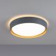 Leuchten Direkt 14347-15 - LED Zatemntivena stropna svetilka EMILIA LED/28,8W/230V siva