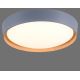 Leuchten Direkt 14347-15 - LED Zatemntivena stropna svetilka EMILIA LED/28,8W/230V siva