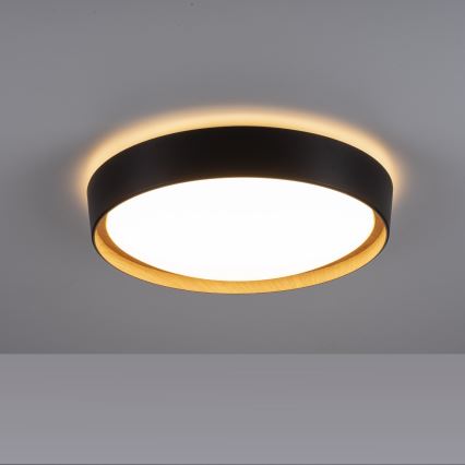 Leuchten Direkt 14347-18 - LED Zatemnitvena svetilka EMILIA LED/28,8W/230V črna