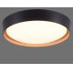 Leuchten Direkt 14347-18 - LED Zatemnitvena svetilka EMILIA LED/28,8W/230V črna