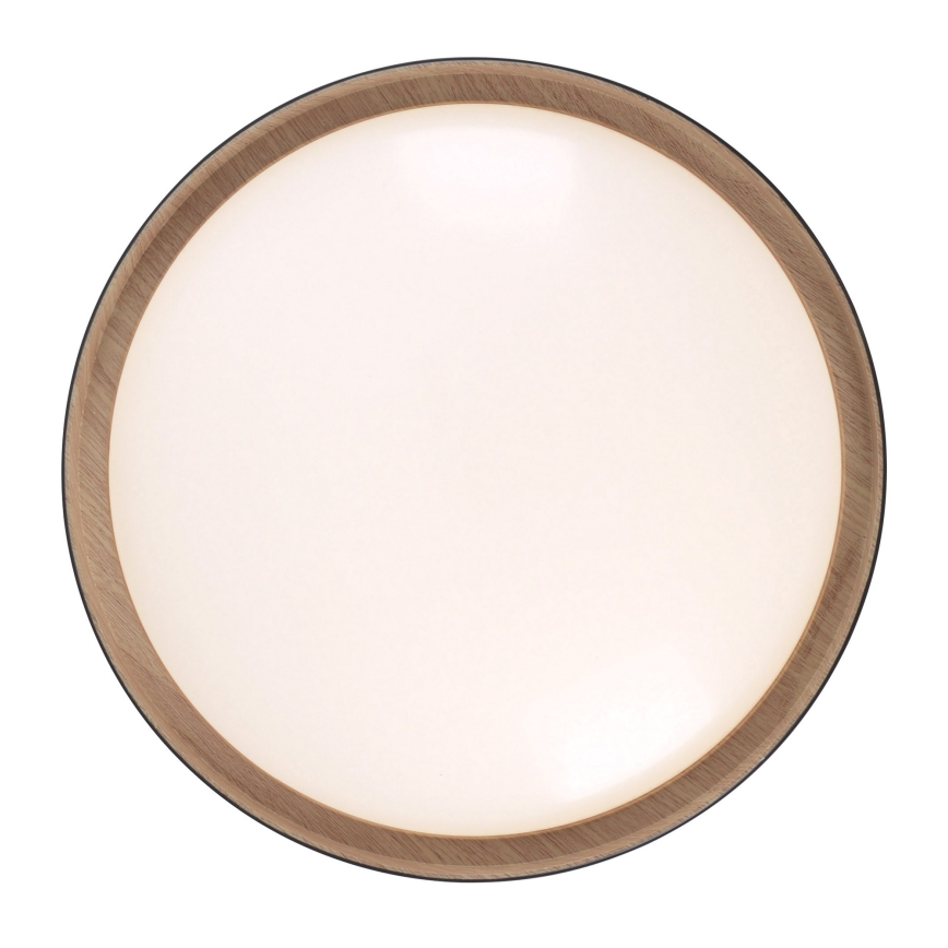 Leuchten Direkt 14347-18 - LED Zatemnitvena svetilka EMILIA LED/28,8W/230V črna
