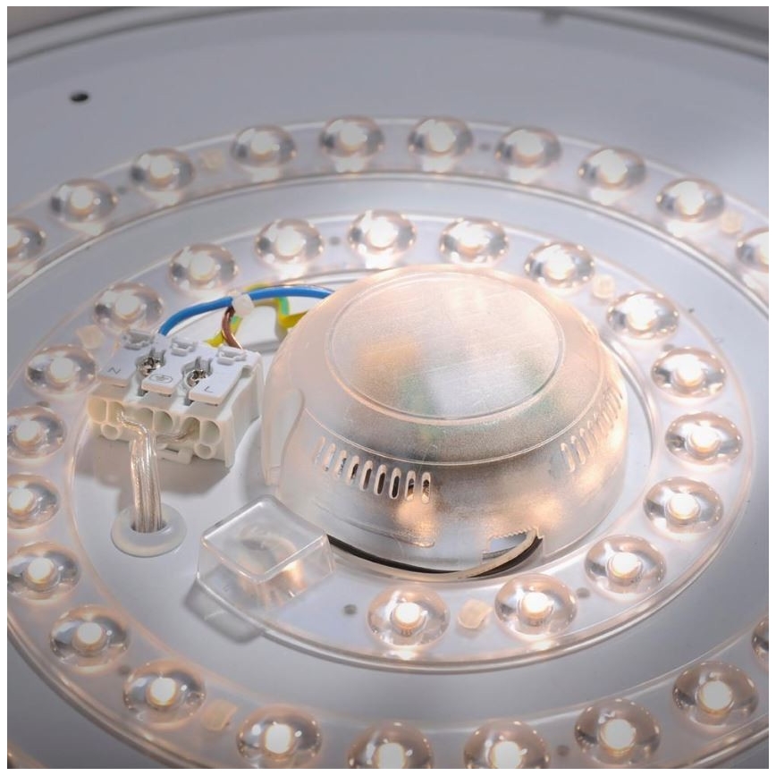 Leuchten Direkt 14422-17 - LED Kopalniška stropna svetilka s senzorjem LAVINIA LED/18W/230V IP44