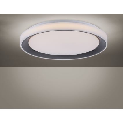 Leuchten Direkt 14659-18 - LED RGB Zatemnitvena stropna svetilka LOLA LED/24W/230V Tuya + daljinski upravljalnik