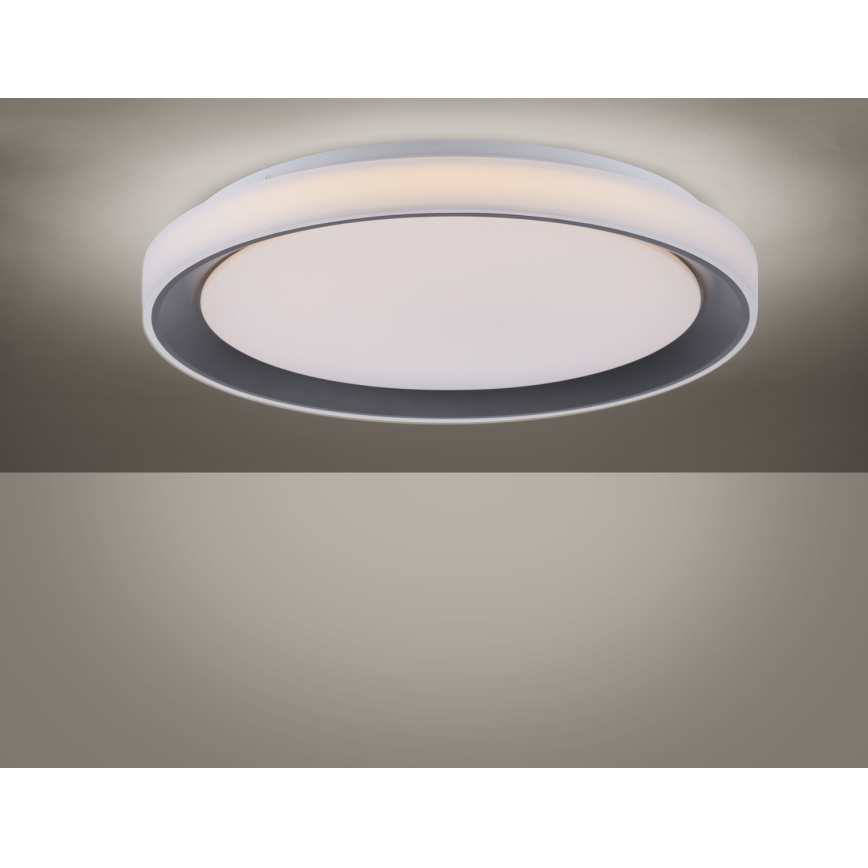 Leuchten Direkt 14659-18 - LED RGB Zatemnitvena stropna svetilka LOLA LED/24W/230V Tuya + daljinski upravljalnik