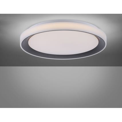 Leuchten Direkt 14659-18 - LED RGB Zatemnitvena stropna svetilka LOLA LED/24W/230V Tuya + daljinski upravljalnik