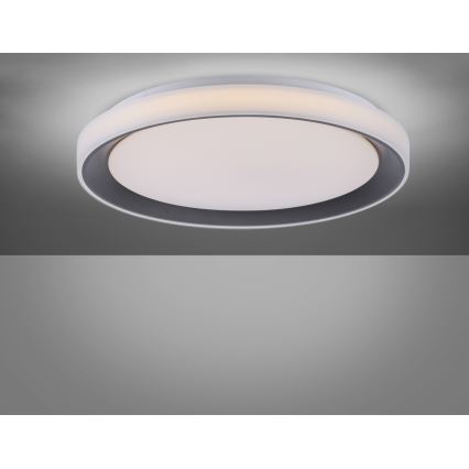 Leuchten Direkt 14659-18 - LED RGB Zatemnitvena stropna svetilka LOLA LED/24W/230V Tuya + daljinski upravljalnik