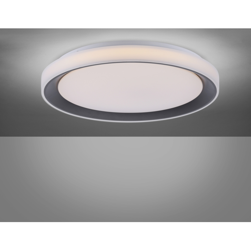 Leuchten Direkt 14659-18 - LED RGB Zatemnitvena stropna svetilka LOLA LED/24W/230V Tuya + daljinski upravljalnik