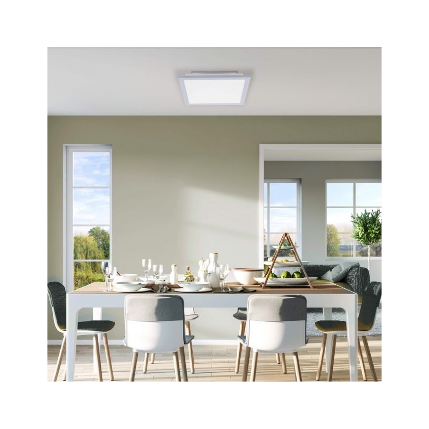 Leuchten Direkt 14750-21 - LED Stropna svetilka FLAT LED/12W/230V