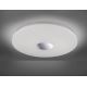 Leuchten Direkt 14822-17 - LED Kopalniška stropna svetilka s senzorjem LAVINIA LED/40W/230V IP44