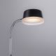 Leuchten Direkt 14825-18 - LED Namizna svetilka ENISA 1xLED/3,5W/230V črna