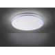 Leuchten Direkt 14844-17 - LED Kopalniška stropna svetilka ISABELL LED/22W/230V IP44