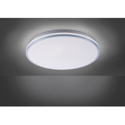 Leuchten Direkt 14844-17 - LED Kopalniška stropna svetilka ISABELL LED/22W/230V IP44