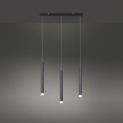 Leuchten Direkt 15203-18 - LED Lestenec na vrvici 3xLED/4,8W/230V črn