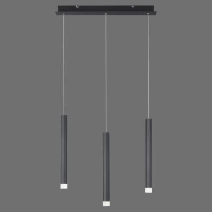 Leuchten Direkt 15203-18 - LED Lestenec na vrvici 3xLED/4,8W/230V črn