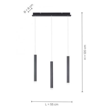 Leuchten Direkt 15203-18 - LED Lestenec na vrvici 3xLED/4,8W/230V črn