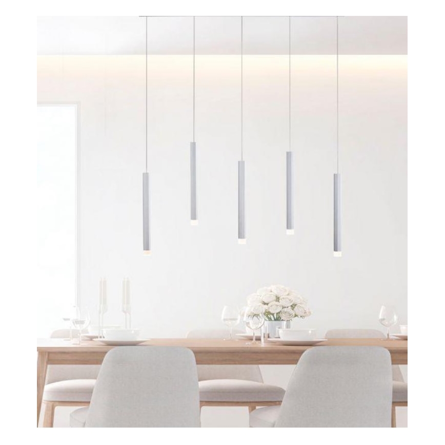 Leuchten Direkt 15205-95 - LED Lestenec na vrvici BRUNO 5xLED/4,8W/230V