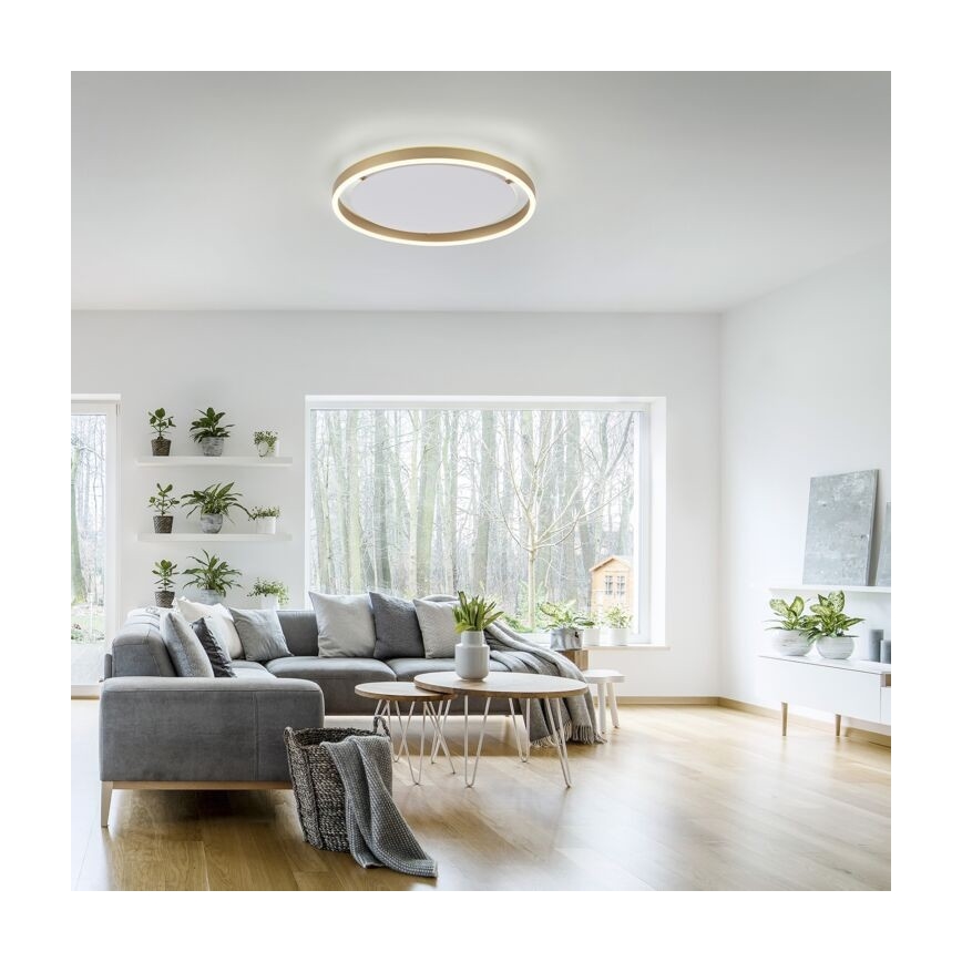 Leuchten Direkt 15391-60 - LED Zatemnitvena stropna svetilka RITUS LED/20W/230V medenina
