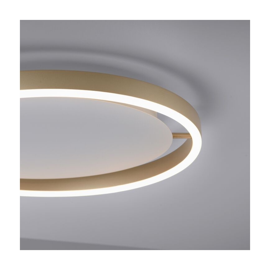 Leuchten Direkt 15391-60 - LED Zatemnitvena stropna svetilka RITUS LED/20W/230V medenina