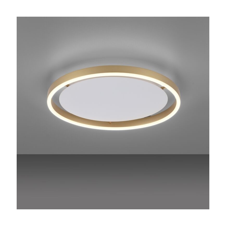 Leuchten Direkt 15391-60 - LED Zatemnitvena stropna svetilka RITUS LED/20W/230V medenina