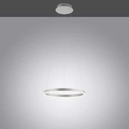 Leuchten Direkt 15393-95 - LED Zatemnitveni lestenec na vrvici RITUS LED/20W/230V mat krom