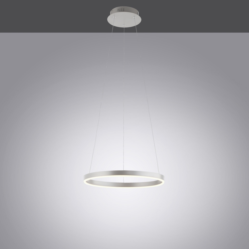 Leuchten Direkt 15393-95 - LED Zatemnitveni lestenec na vrvici RITUS LED/20W/230V mat krom