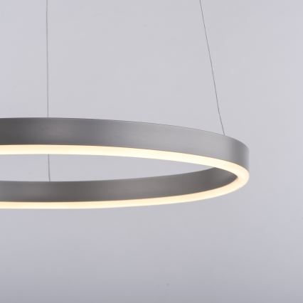 Leuchten Direkt 15393-95 - LED Zatemnitveni lestenec na vrvici RITUS LED/20W/230V mat krom