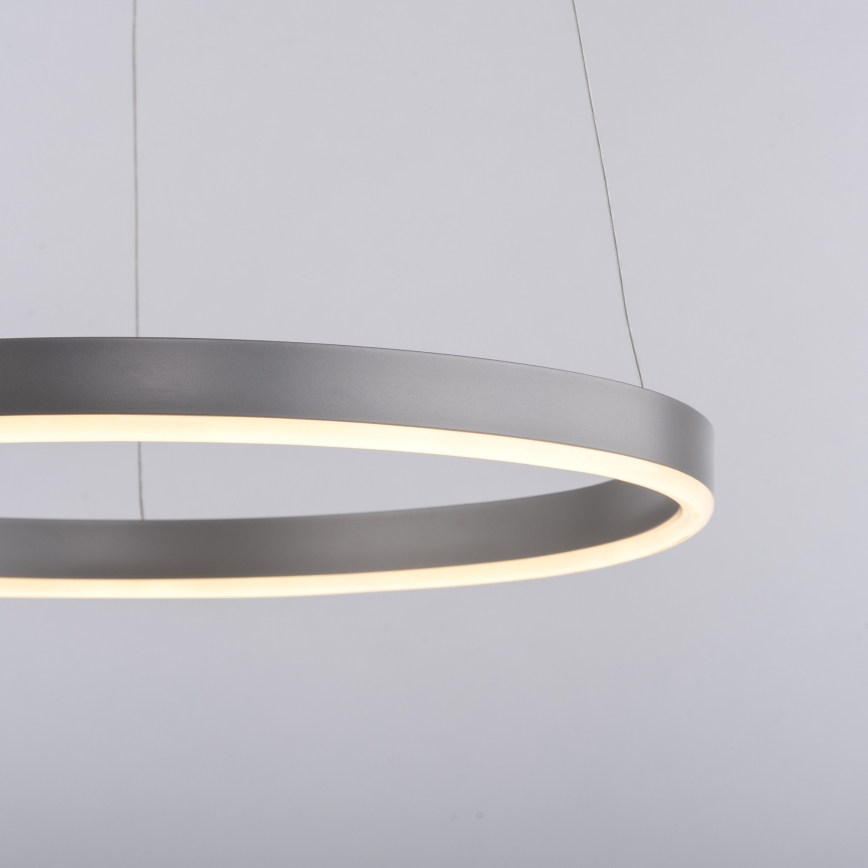 Leuchten Direkt 15393-95 - LED Zatemnitveni lestenec na vrvici RITUS LED/20W/230V mat krom