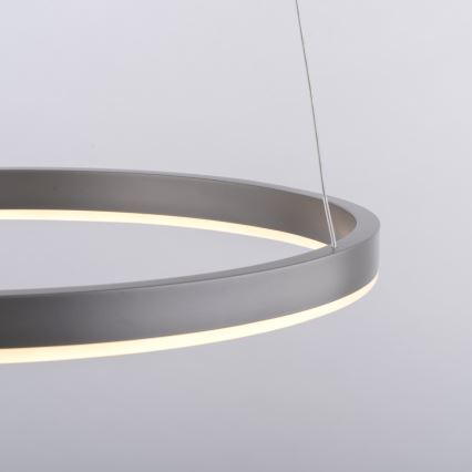 Leuchten Direkt 15393-95 - LED Zatemnitveni lestenec na vrvici RITUS LED/20W/230V mat krom
