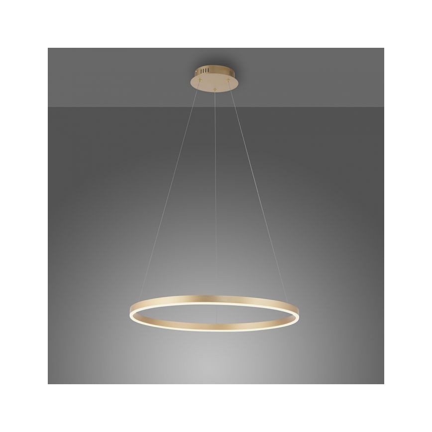 Leuchten Direkt 15394-60 - LED Zatemnitveni lestenec na vrvici RITUS LED/30W/230V medenina