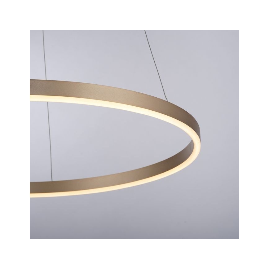 Leuchten Direkt 15394-60 - LED Zatemnitveni lestenec na vrvici RITUS LED/30W/230V medenina
