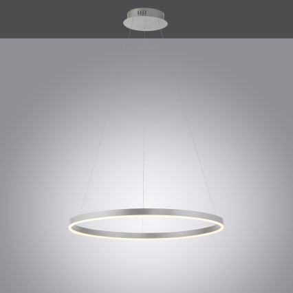 Leuchten Direkt 15394-95 - LED Zatemnitveni lestenec na vrvici RITUS LED/30W/230V mat krom