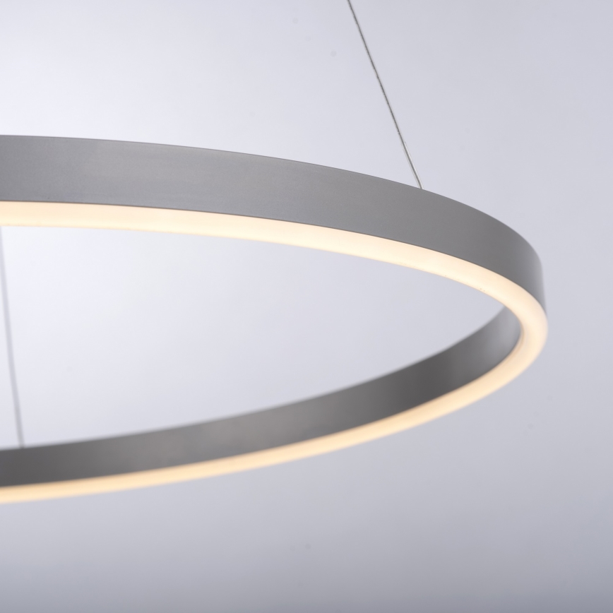 Leuchten Direkt 15394-95 - LED Zatemnitveni lestenec na vrvici RITUS LED/30W/230V mat krom