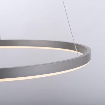 Leuchten Direkt 15394-95 - LED Zatemnitveni lestenec na vrvici RITUS LED/30W/230V mat krom