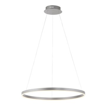 Leuchten Direkt 15394-95 - LED Zatemnitveni lestenec na vrvici RITUS LED/30W/230V mat krom