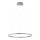 Leuchten Direkt 15394-95 - LED Zatemnitveni lestenec na vrvici RITUS LED/30W/230V mat krom