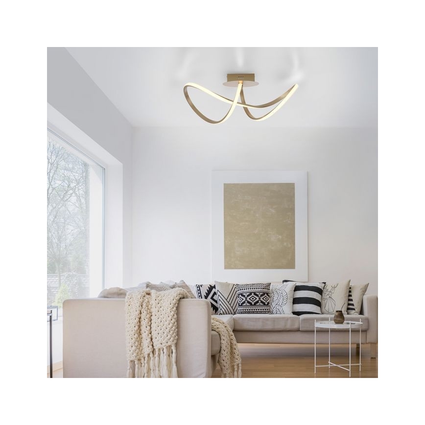 Leuchten Direkt 15403-60 - LED Zatemnitveni lestenec MARIA LED/15,5W/230V