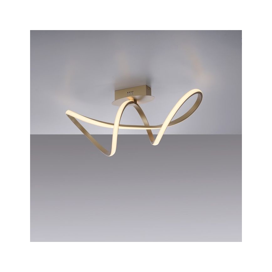 Leuchten Direkt 15403-60 - LED Zatemnitveni lestenec MARIA LED/15,5W/230V