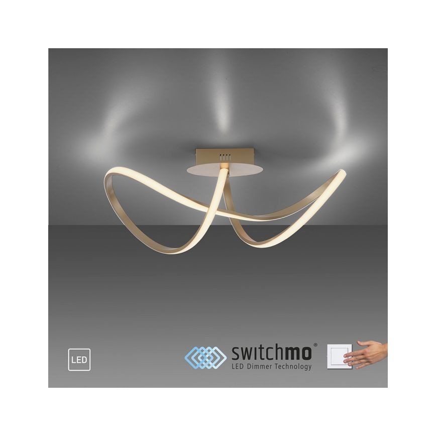 Leuchten Direkt 15403-60 - LED Zatemnitveni lestenec MARIA LED/15,5W/230V