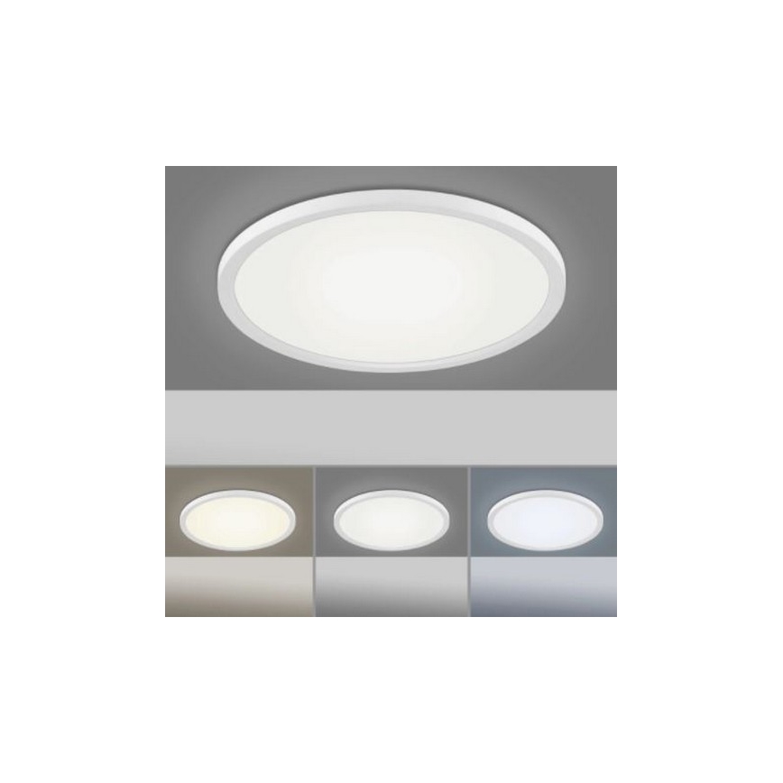 Leuchten Direkt 15571-16 - LED Zatemnitvena stropna svetilka FLAT LED/23,5W/230V 2700-5000K + Daljinski upravljalnik