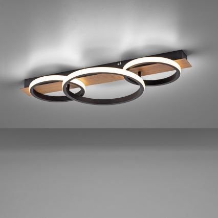 Leuchten Direkt 15616-78 - LED Stropna svetilka TROOPER LED/37W/230V