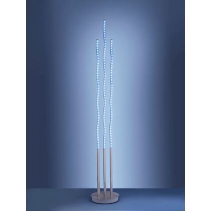 Leuchten Direkt 16268-55 - LED RGB Zatemnitvena talna svetilka WAVE LED/31W/230V + Daljinski upravljalnik