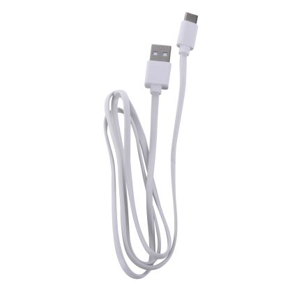 Leuchten Direkt 19250-16 - LED Zunanja zatemnitvena polnilna namizna svetilka EURIA LED/3W/5V 2600 mAh IP54 bela